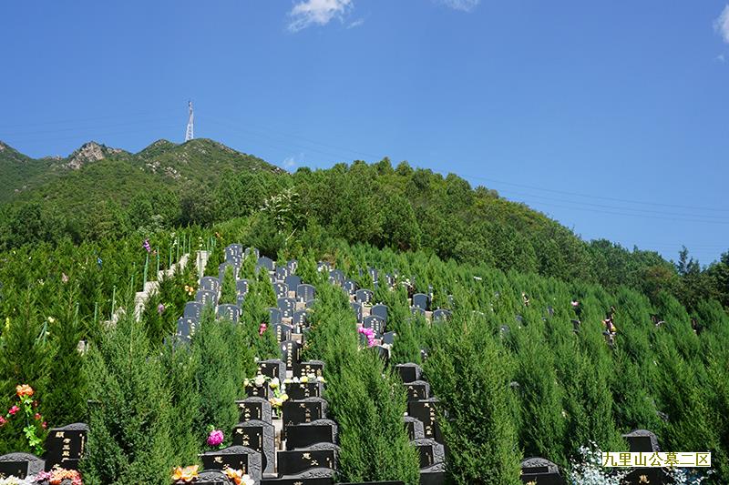 郑州唯一一家有树葬的陵园-河南福寿园